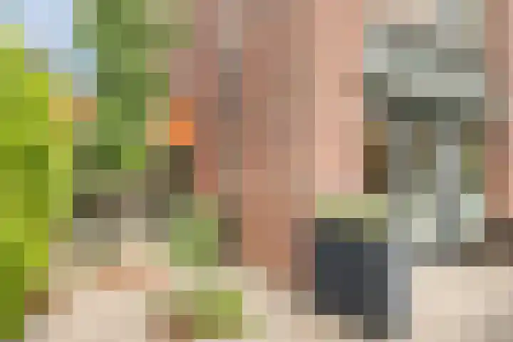 Frankhuizerallee 85 Zwolle thumbnail 37
