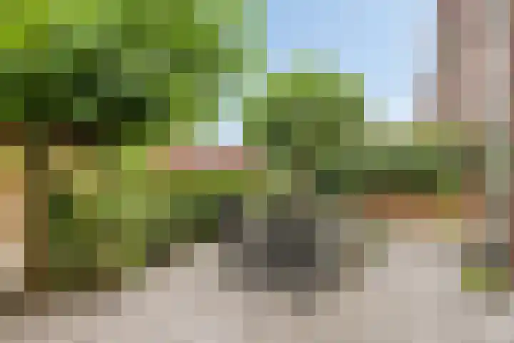 Frankhuizerallee 85 Zwolle thumbnail 39