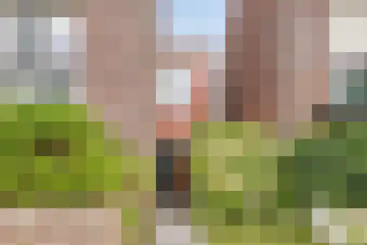 Frankhuizerallee 85 Zwolle thumbnail 4