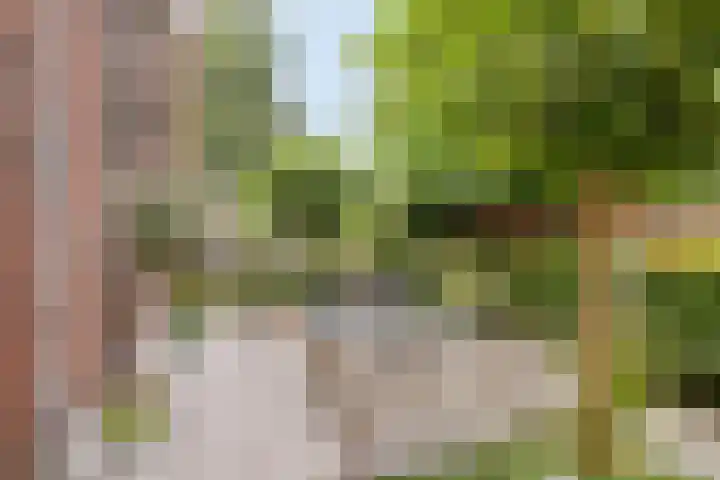 Frankhuizerallee 85 Zwolle thumbnail 40