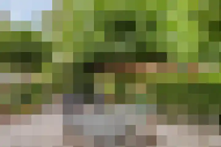 Frankhuizerallee 85 Zwolle thumbnail 41