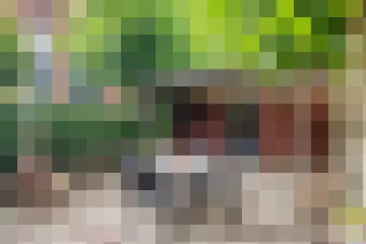 Frankhuizerallee 85 Zwolle thumbnail 43