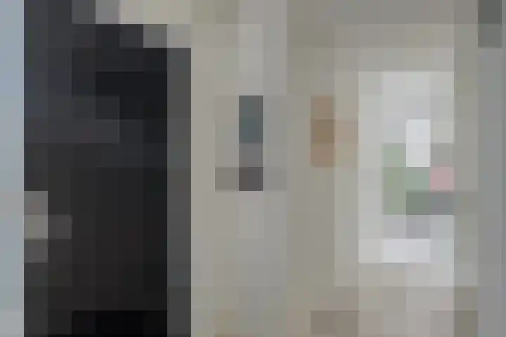 Frankhuizerallee 85 Zwolle thumbnail 5