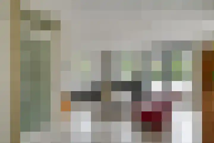 Frankhuizerallee 85 Zwolle thumbnail 7