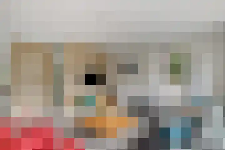 Frankhuizerallee 85 Zwolle thumbnail 9