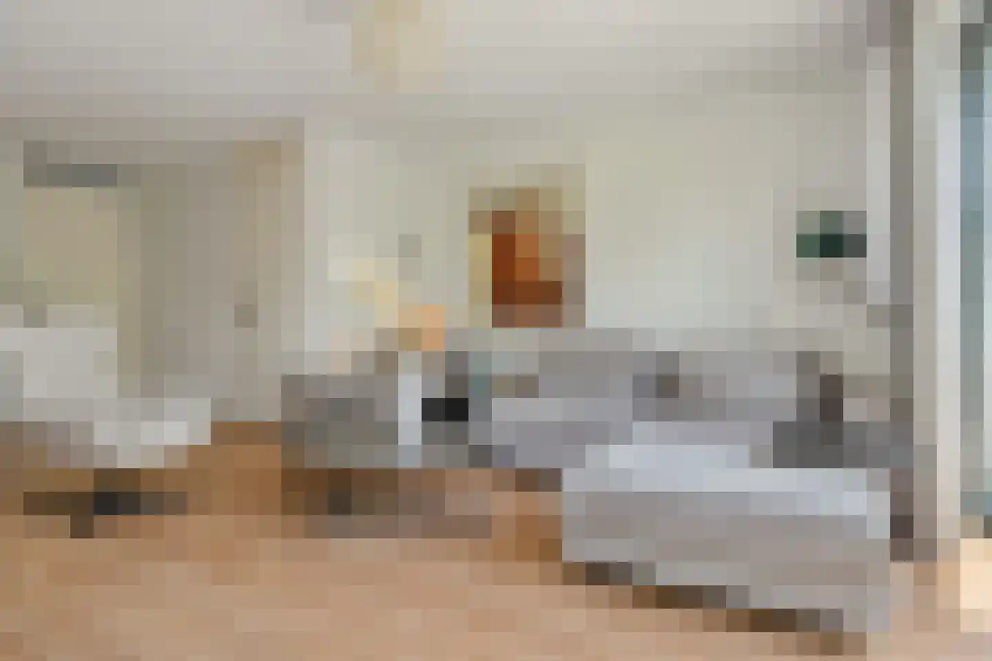 Frankhuizerallee 9 Zwolle thumbnail 12