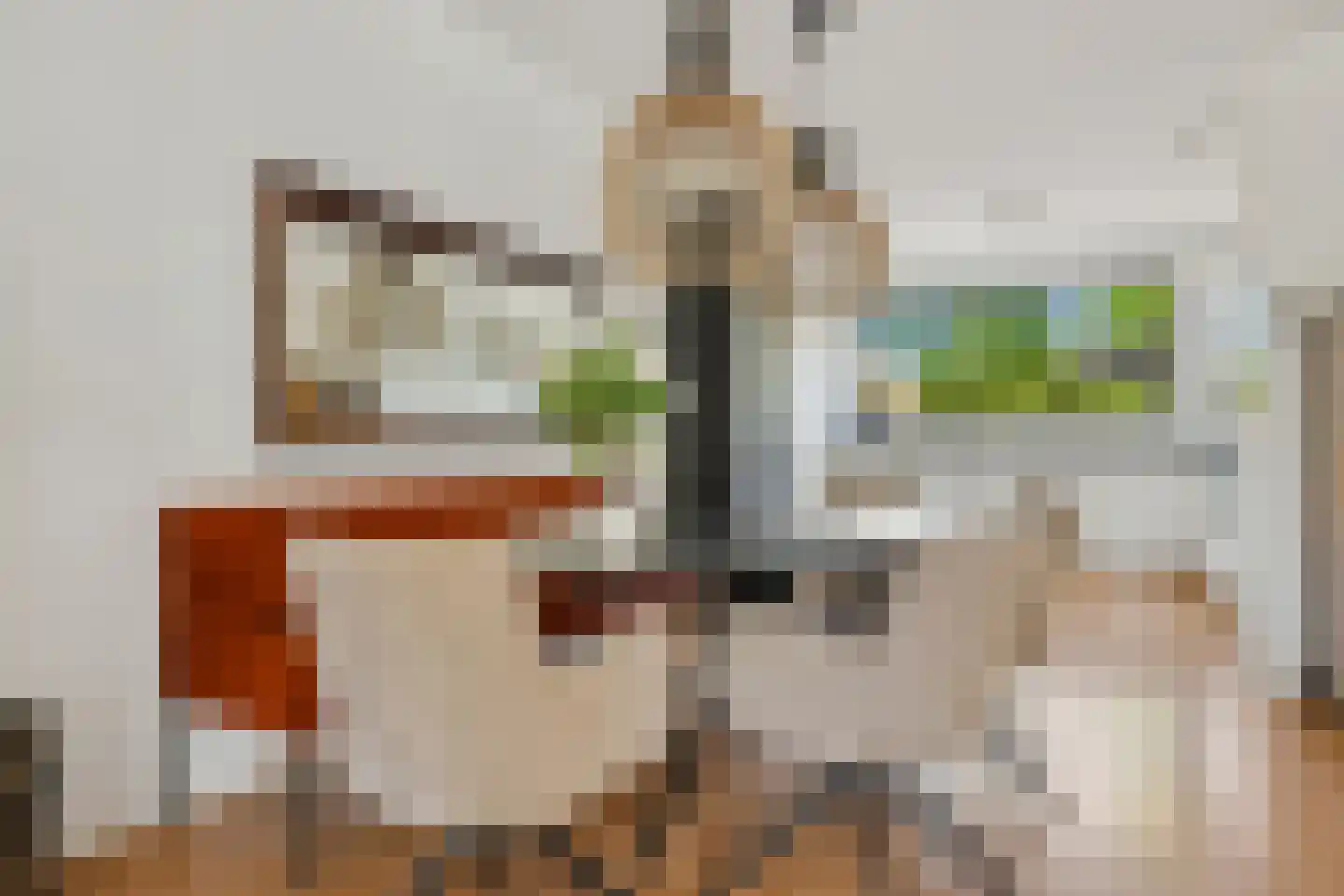 Frankhuizerallee 9 Zwolle thumbnail 16