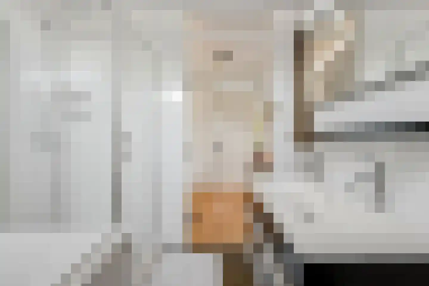 Frankhuizerallee 9 Zwolle thumbnail 30