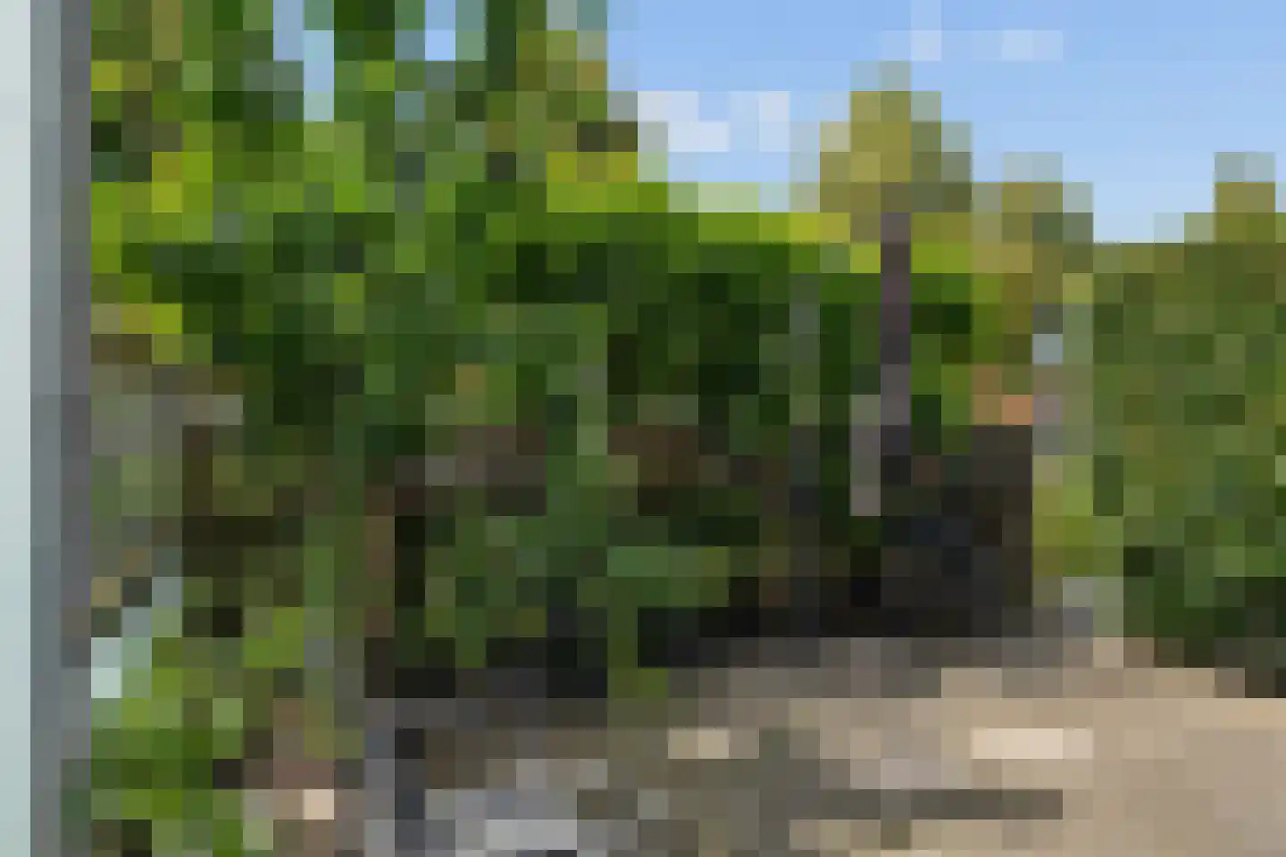 Frankhuizerallee 9 Zwolle thumbnail 48