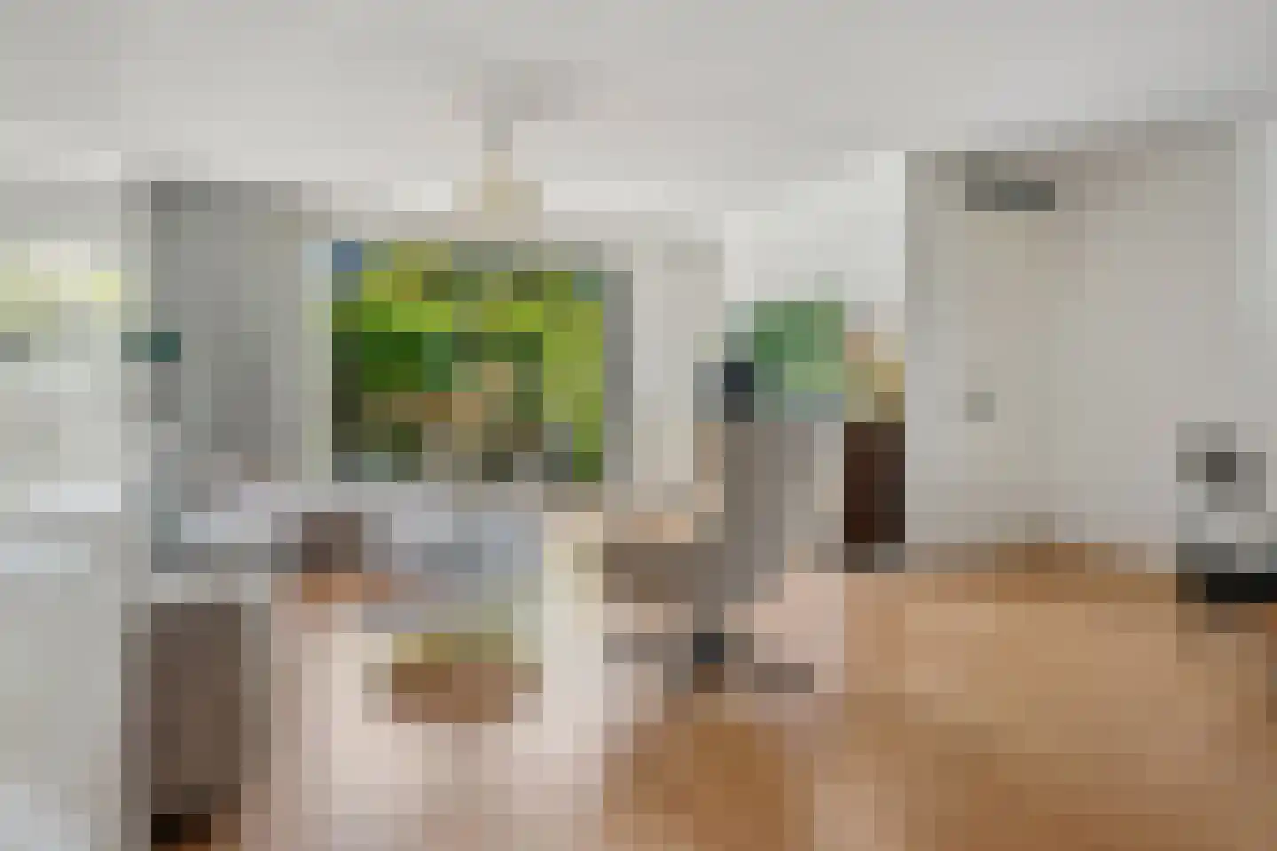 Frankhuizerallee 9 Zwolle thumbnail 8
