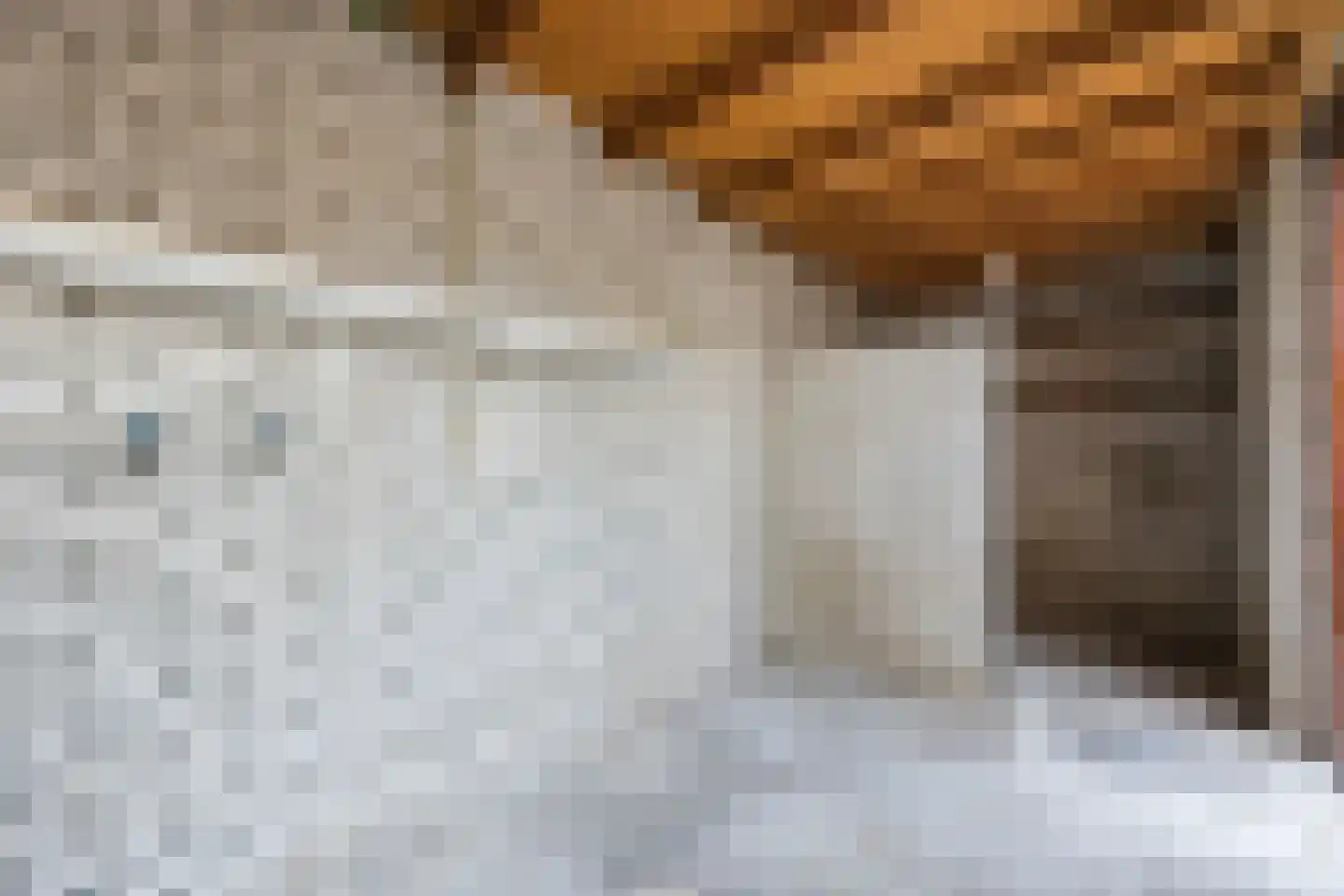 Frankische Driehoek 24 a Goirle thumbnail 11