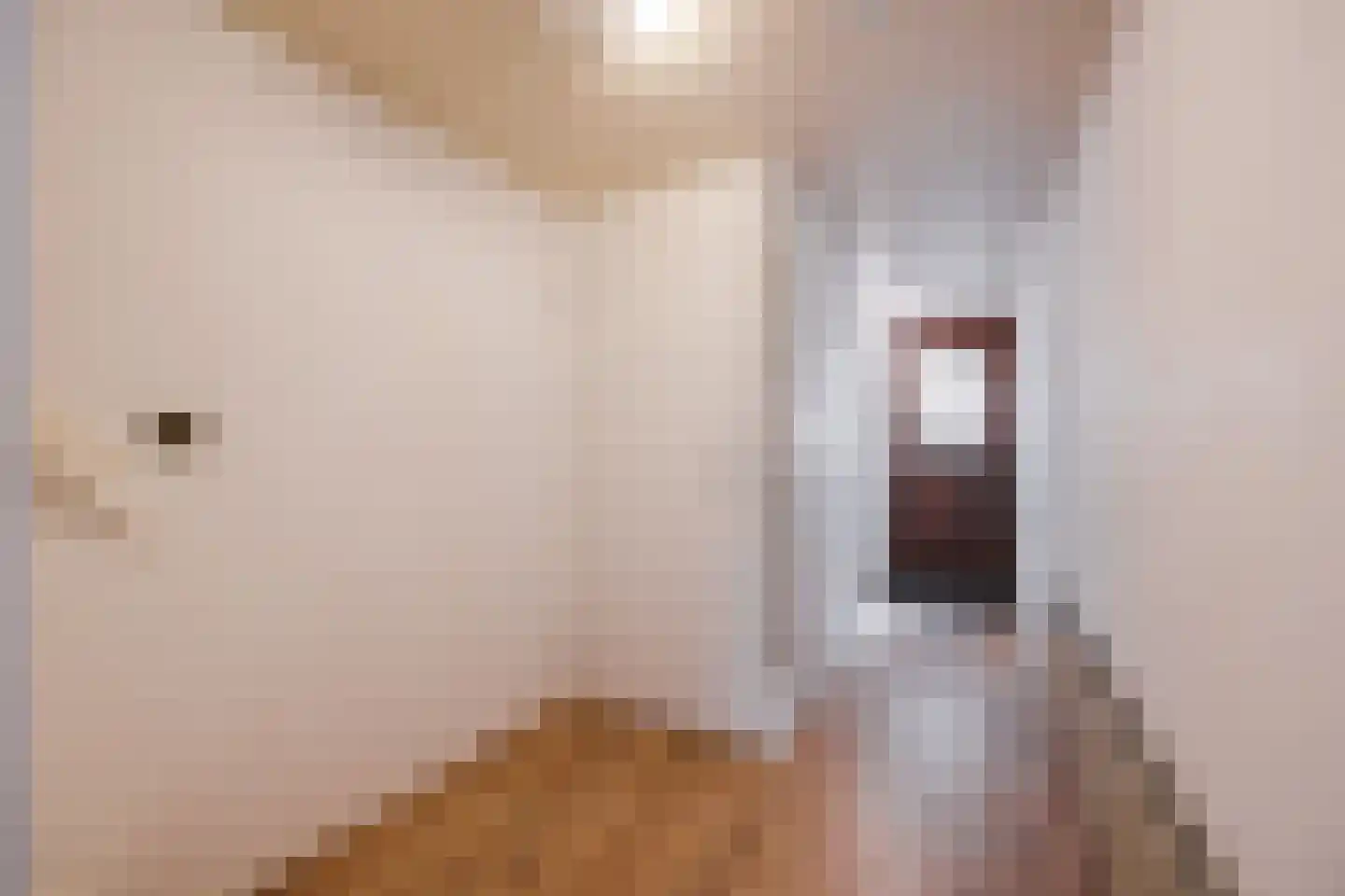 Frankische Driehoek 24 a Goirle thumbnail 13
