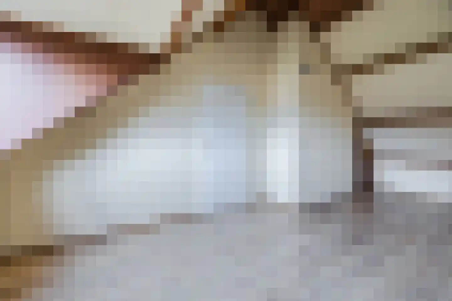 Frankische Driehoek 24 a Goirle thumbnail 27