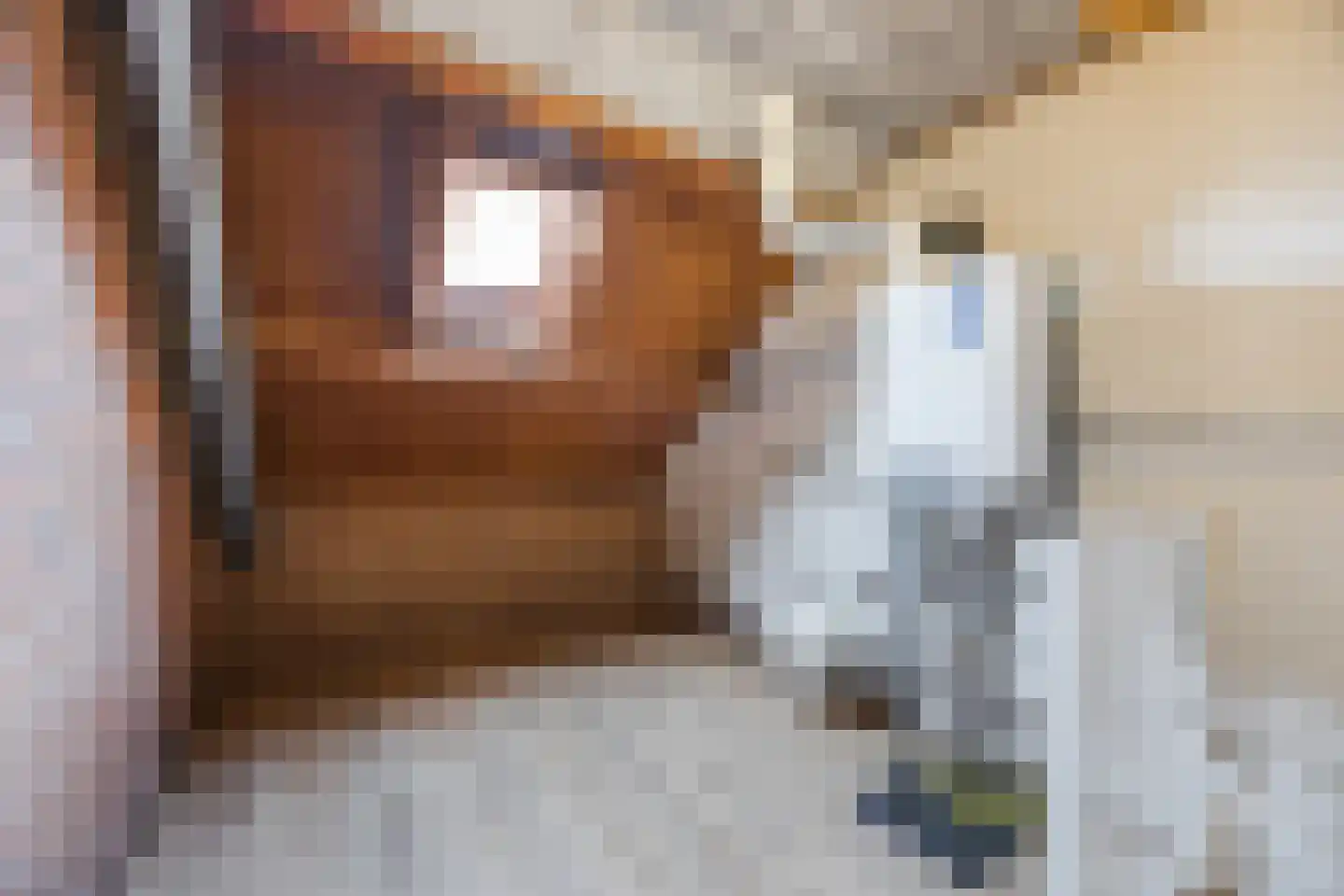 Frankische Driehoek 24 a Goirle thumbnail 30
