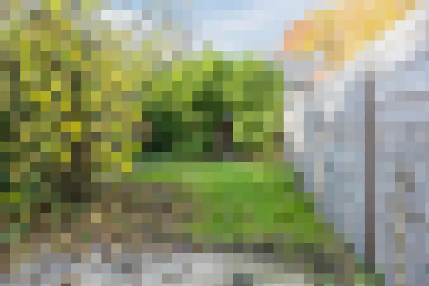 Frankische Driehoek 24 a Goirle thumbnail 33