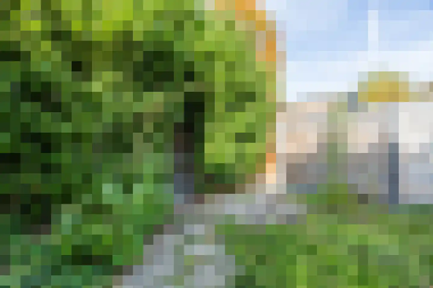 Frankische Driehoek 24 a Goirle thumbnail 34