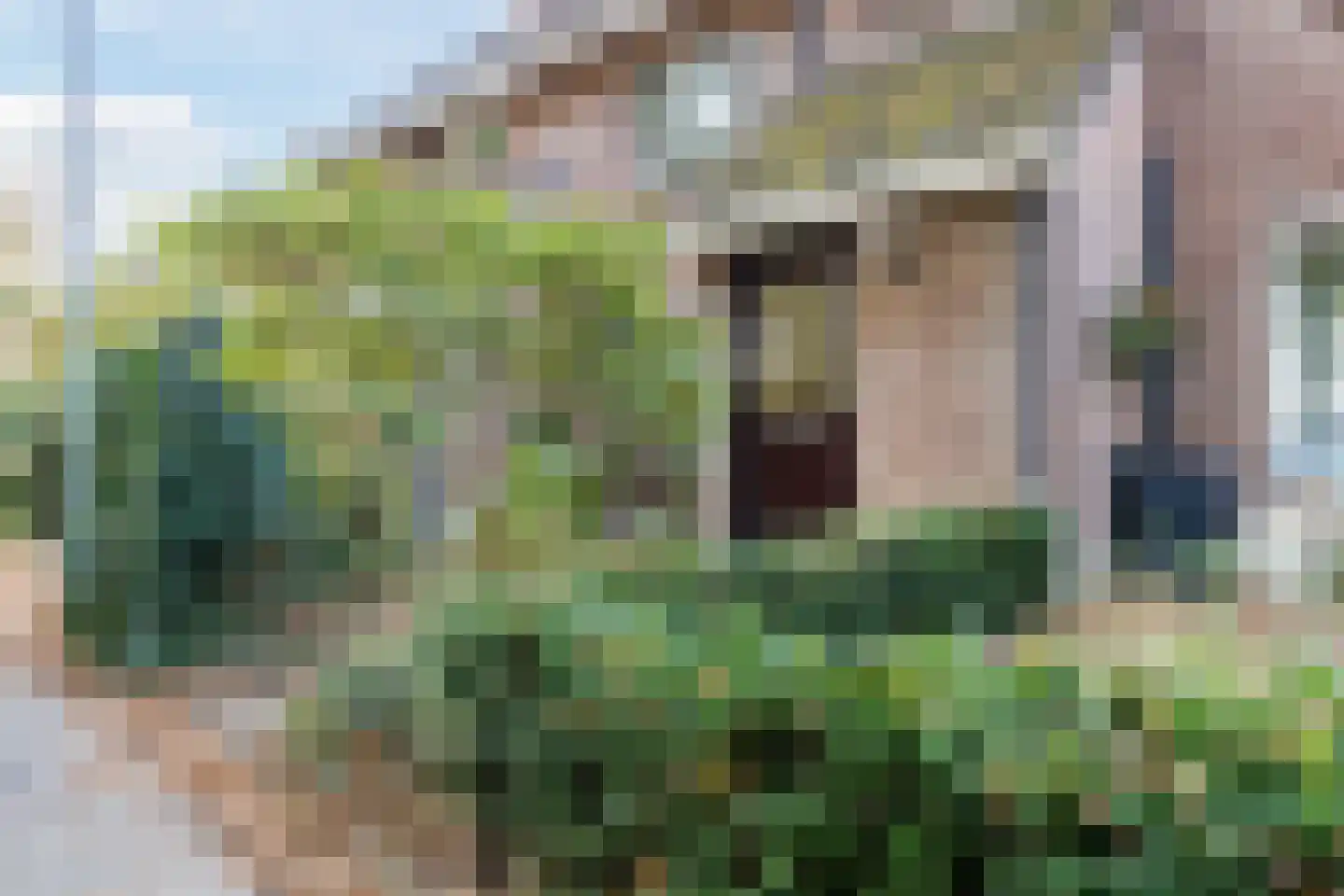 Frankische Driehoek 24 a Goirle thumbnail 38