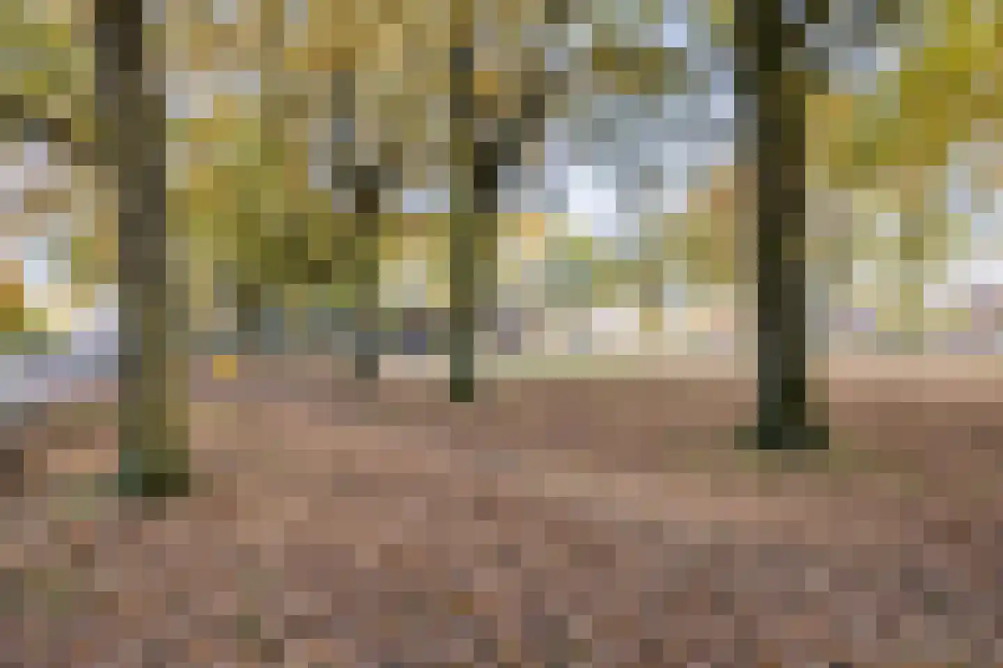 Frankische Driehoek 24 a Goirle thumbnail 39