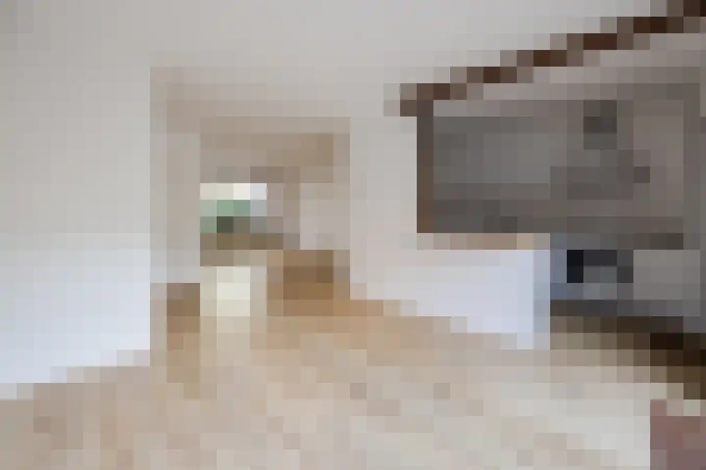 Frankische Driehoek 24 a Goirle thumbnail 6