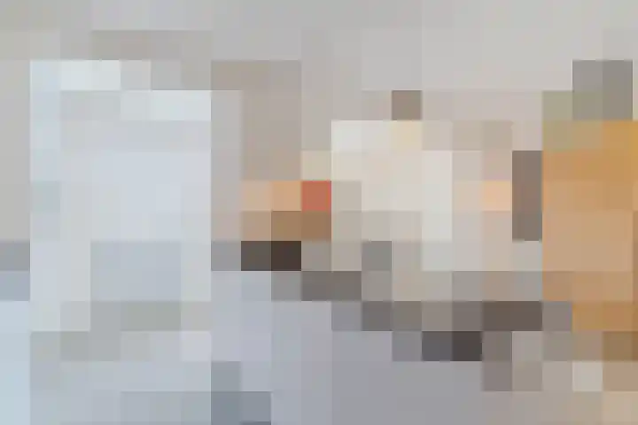 Frankische Driehoek 30 Goirle thumbnail 13
