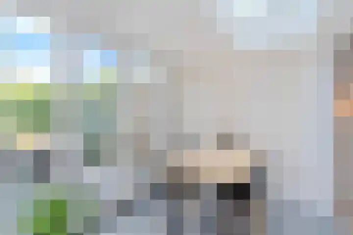 Frankische Driehoek 30 Goirle thumbnail 14