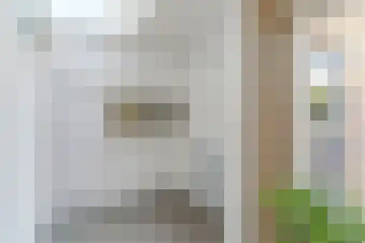 Frankische Driehoek 30 Goirle thumbnail 16