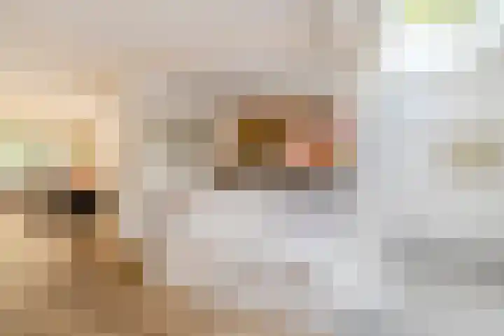 Frankische Driehoek 30 Goirle thumbnail 17