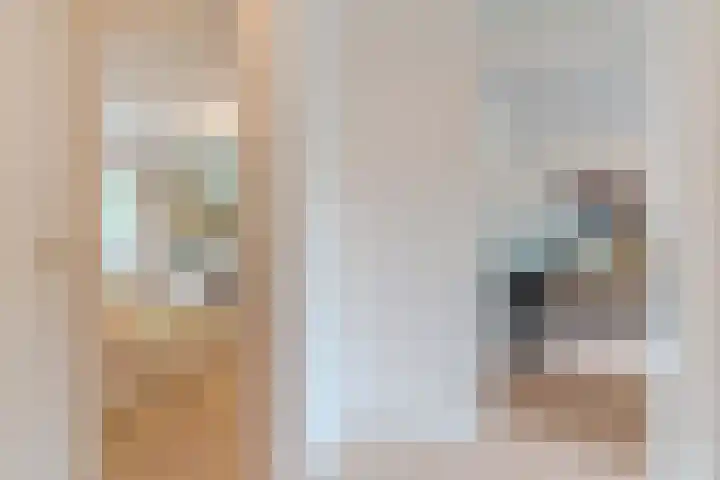 Frankische Driehoek 30 Goirle thumbnail 20