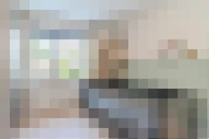 Frankische Driehoek 30 Goirle thumbnail 24