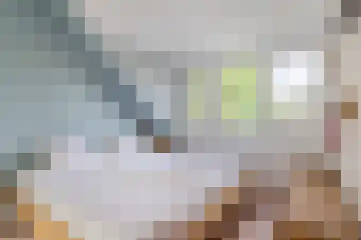 Frankische Driehoek 30 Goirle thumbnail 33