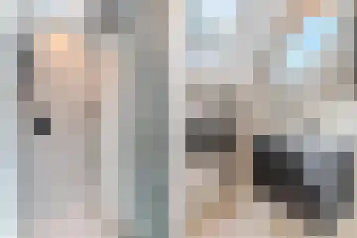 Frankische Driehoek 30 Goirle thumbnail 42