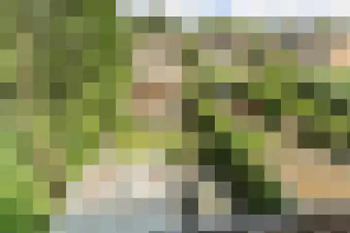 Frankische Driehoek 30 Goirle thumbnail 43