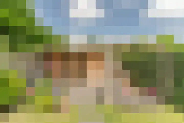Frankische Driehoek 30 Goirle thumbnail 46