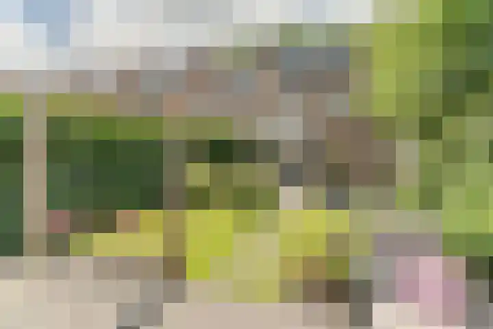 Frankische Driehoek 30 Goirle thumbnail 49