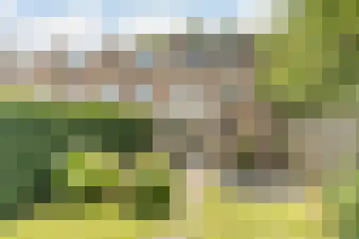 Frankische Driehoek 30 Goirle thumbnail 50