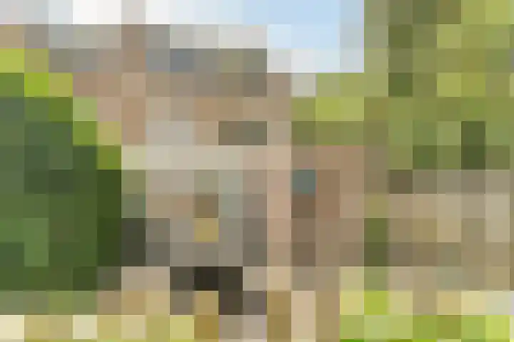 Frankische Driehoek 30 Goirle thumbnail 51