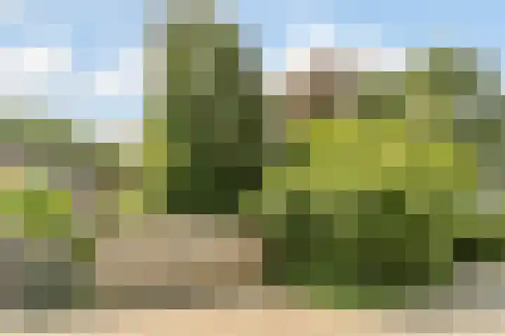 Frankische Driehoek 30 Goirle thumbnail 52