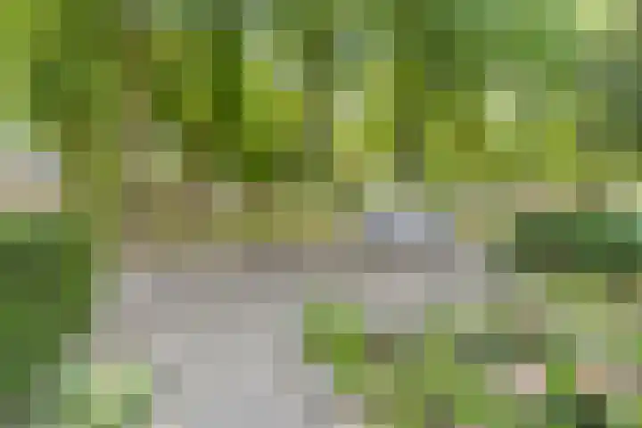 Frankische Driehoek 30 Goirle thumbnail 53