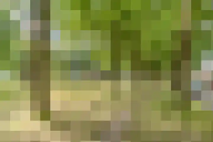 Frankische Driehoek 30 Goirle thumbnail 54