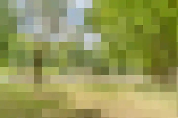 Frankische Driehoek 30 Goirle thumbnail 55