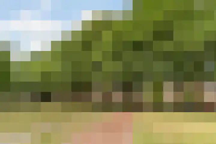 Frankische Driehoek 30 Goirle thumbnail 56