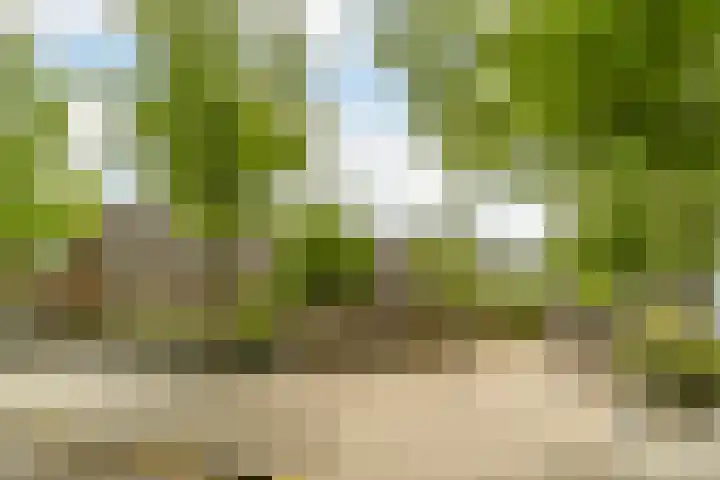 Frankische Driehoek 30 Goirle thumbnail 57