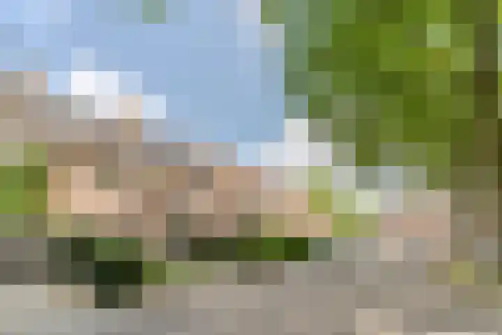 Frankische Driehoek 30 Goirle thumbnail 59