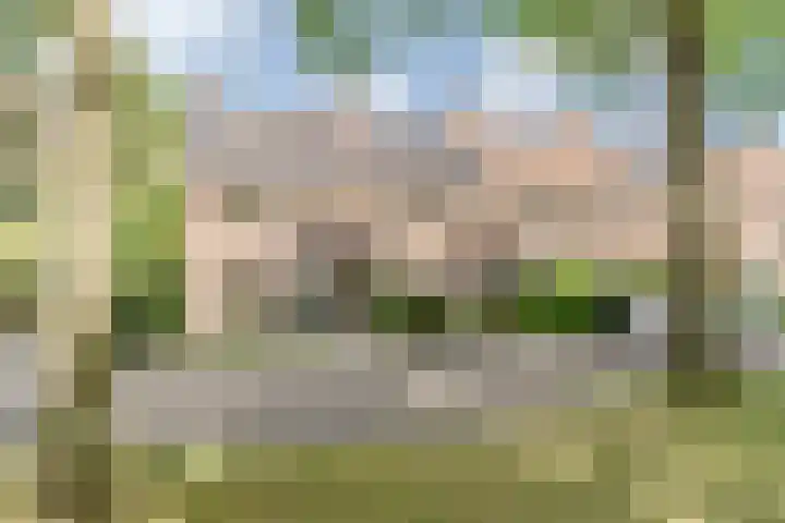 Frankische Driehoek 30 Goirle thumbnail 60