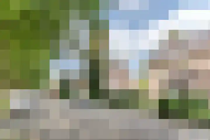 Frankische Driehoek 30 Goirle thumbnail 62