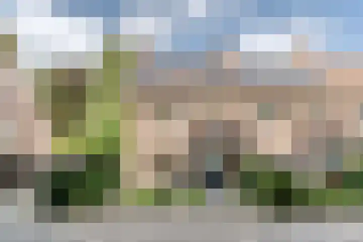 Frankische Driehoek 30 Goirle thumbnail 64
