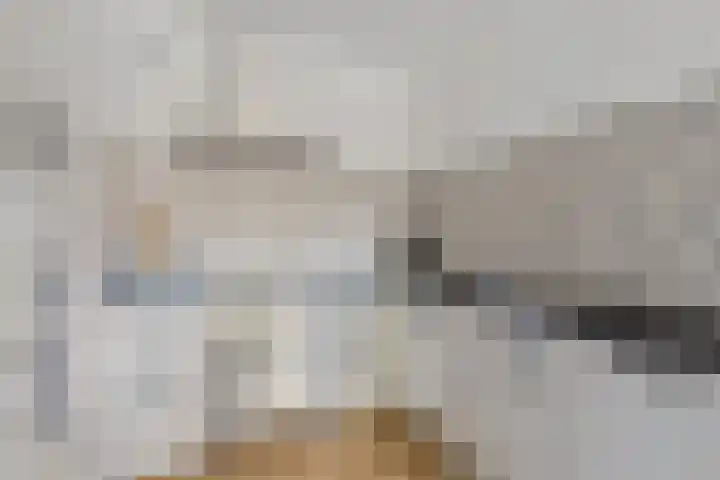 Franklin D Rooseveltlaan 1 Eindhoven thumbnail 20