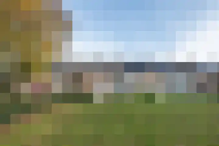 Franklin D Rooseveltlaan 102 Eindhoven thumbnail 5