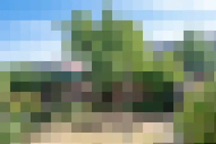 Franklin D Rooseveltlaan 108 Eindhoven thumbnail 37