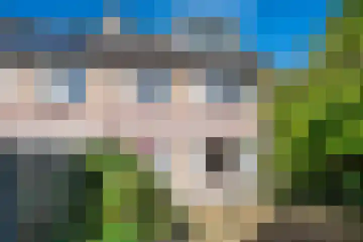 Franklin D Rooseveltlaan 108 Eindhoven thumbnail 5